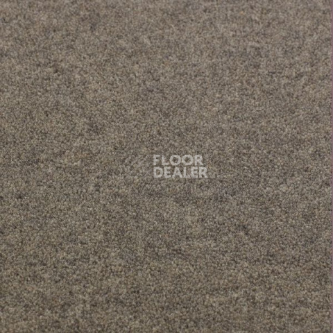Ковролин Jacaranda Carpets Bilpar Steel Grey фото 1 | FLOORDEALER